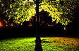 Backlit