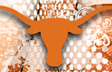 Texas Longhorns