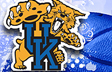 Kentucky Wildcats