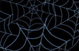 Whirled Web