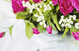 Beautiful Bride