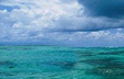 Tropical Dream