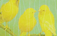 Cheerful Chirp
