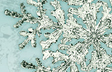 Crystal Snowflake
