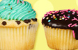Cupcake Celebration
