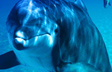Dolphin Paradise