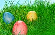 Egg Hunt Hill