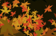 Let It All Fall