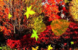 Becoming Fall