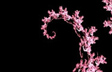 Blooming Heart