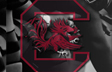 South Carolina Gamecocks