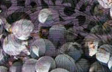 Marah's Vineyard