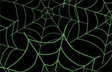 Whirled Web