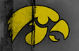 Iowa Hawkeyes