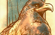 Ravenclaw