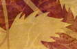 Autumn Leaf