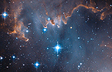Star Cluster