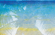 Palms of Paradise