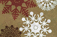 Paper Snowflake