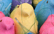 Sweet Peeps