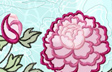 Sweet Peony