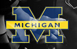 Michigan Wolverines