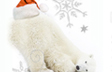 Santa Bear