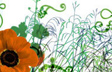 Poppy Field Swirl