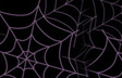 Whirled Web