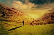 The Journey
