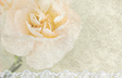 Shabby Chic