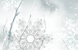 Snow Field