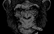 Monkey Business