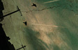 Urban Flight