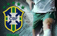 World Cup Brazil