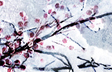 Winterberry